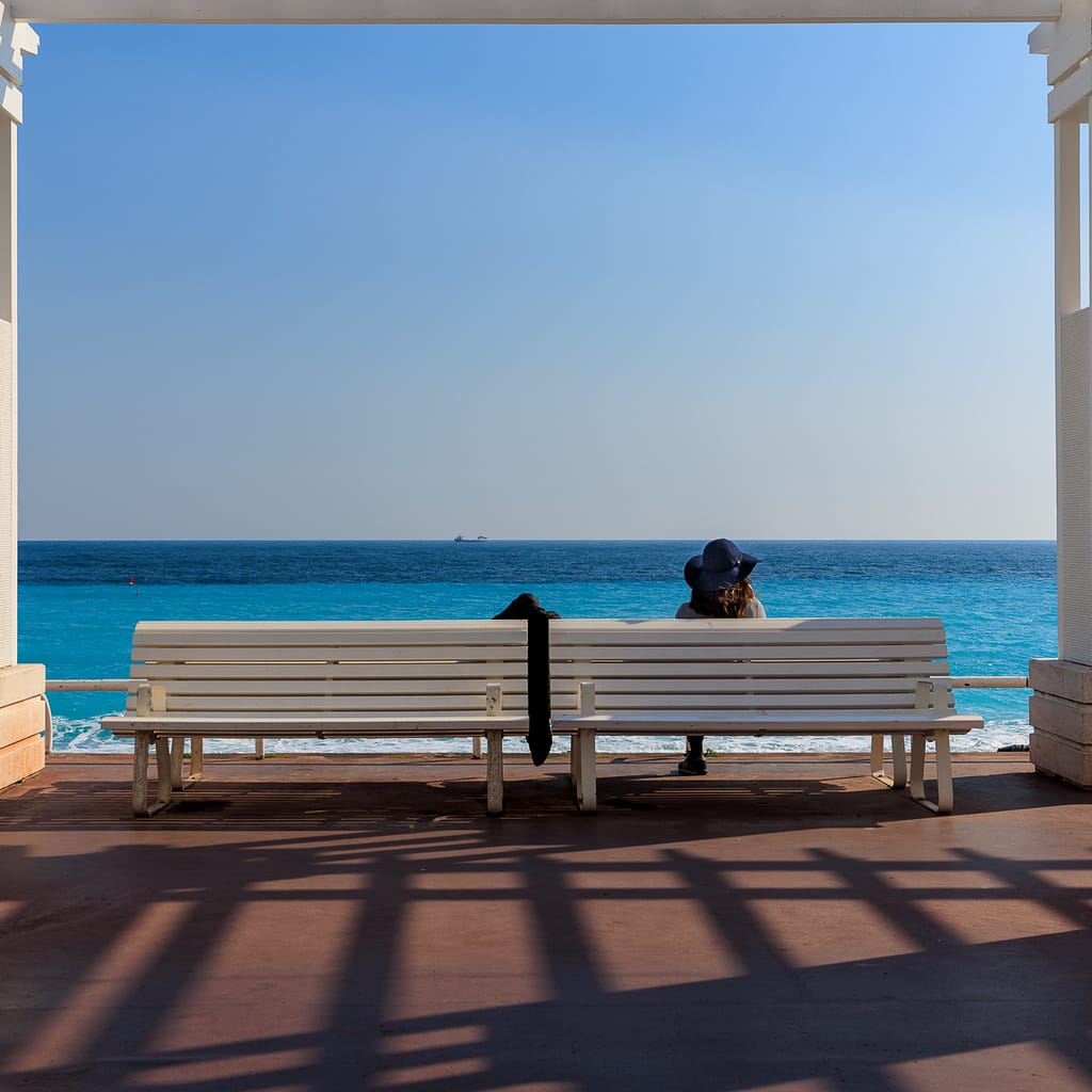 20 CONTEMPLATING THE VIEW by Peter Rees