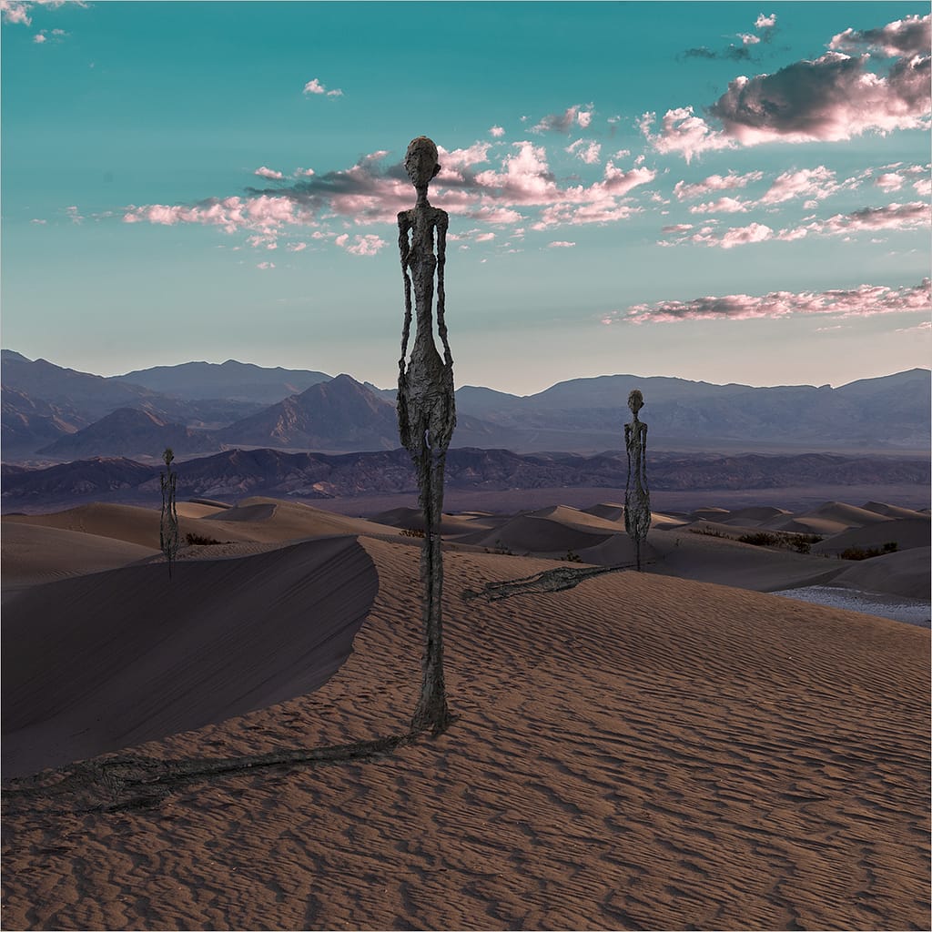 20 DESERT VISITORS by Paul Wilson