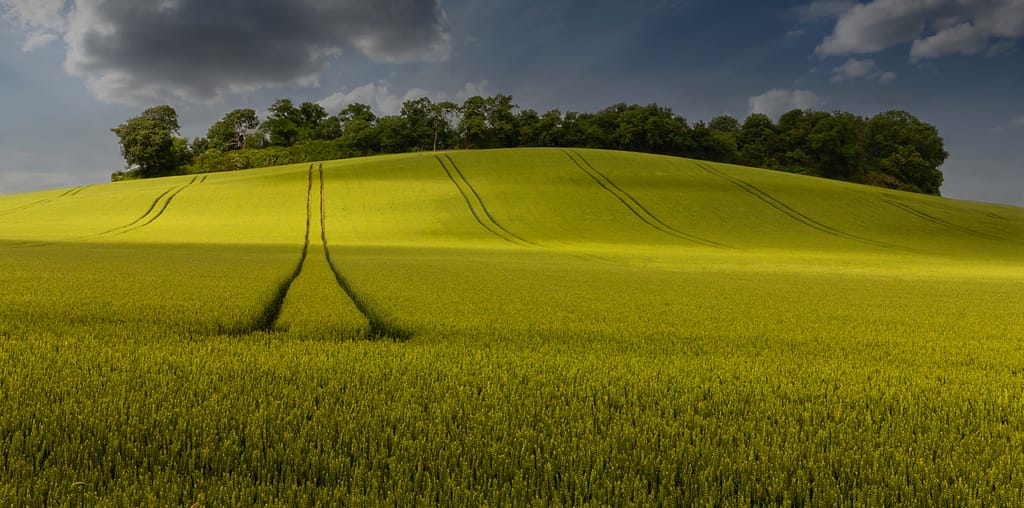 18 TRAM LINES by Roger Green