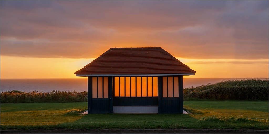 20 THE NIGHT SHELTER by Gina Taylor
