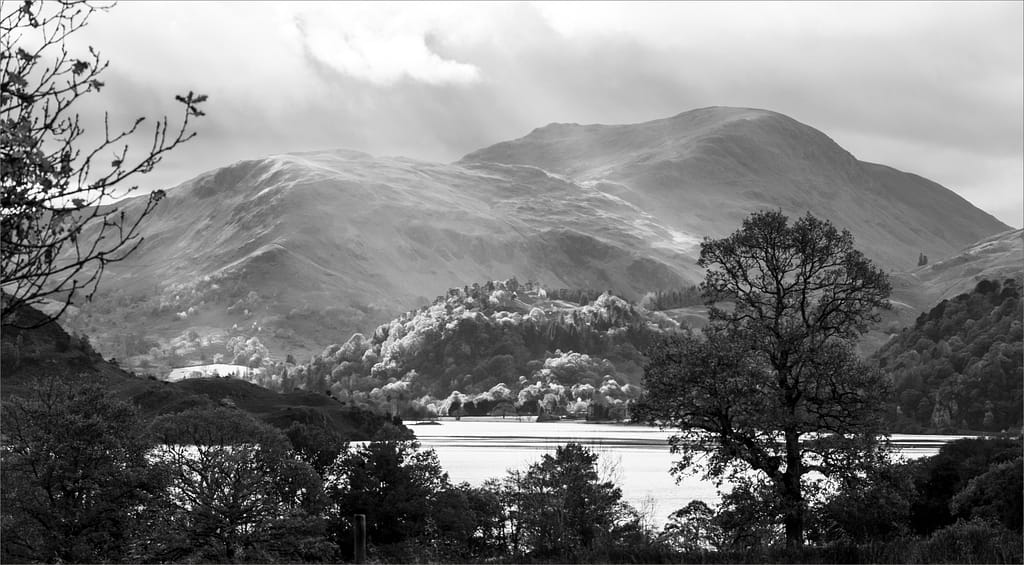 18 AFTER THE RAIN by Richard Burt