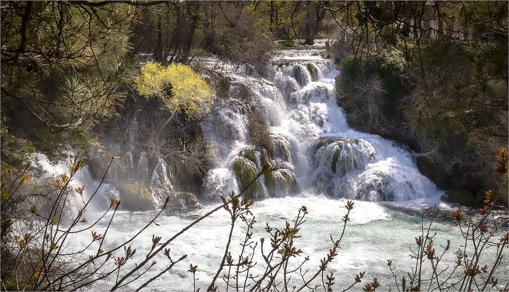 19 THE TREE AND THE WATERFALL by Paul Wilson
