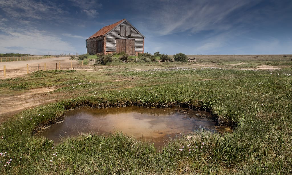 18 DRY THORNHAM by Roger Green