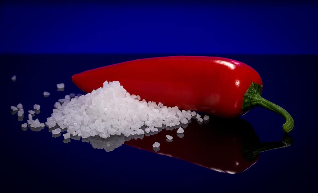 18 SALT AND PEPPER by Adrian Paine