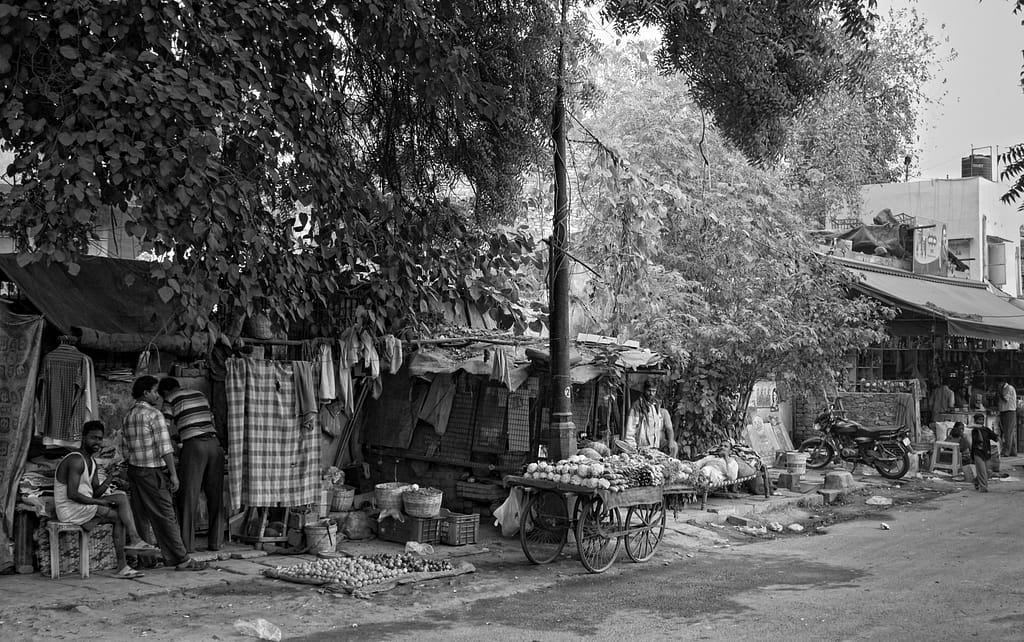 19 DOWNTOWN DELHI by Roger Green