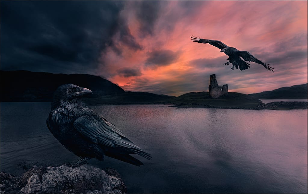 20 THE RAVENS OF ARDVRECK CASTLE by Jo Glenister