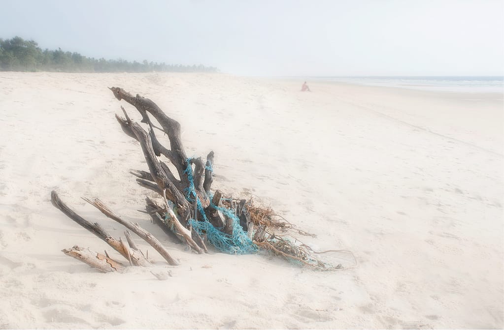 19 FLOTSAM AND JETSAM by Roger Green