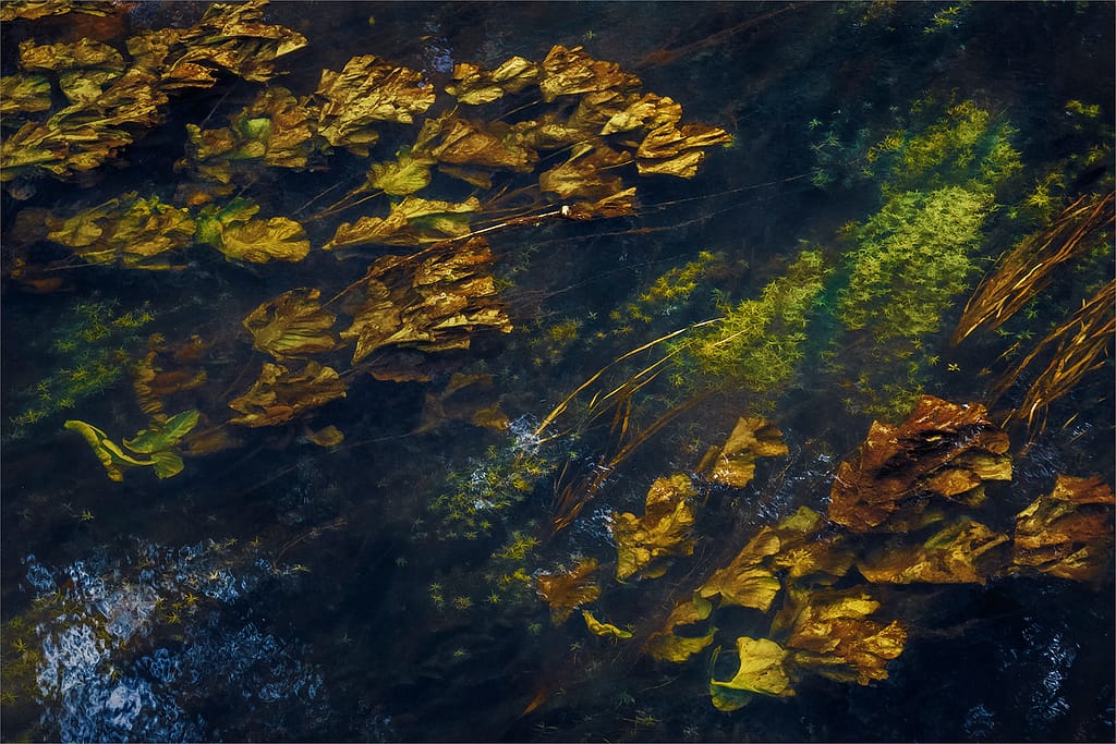 18 THE RIVER WAVENEY by Lee Odell