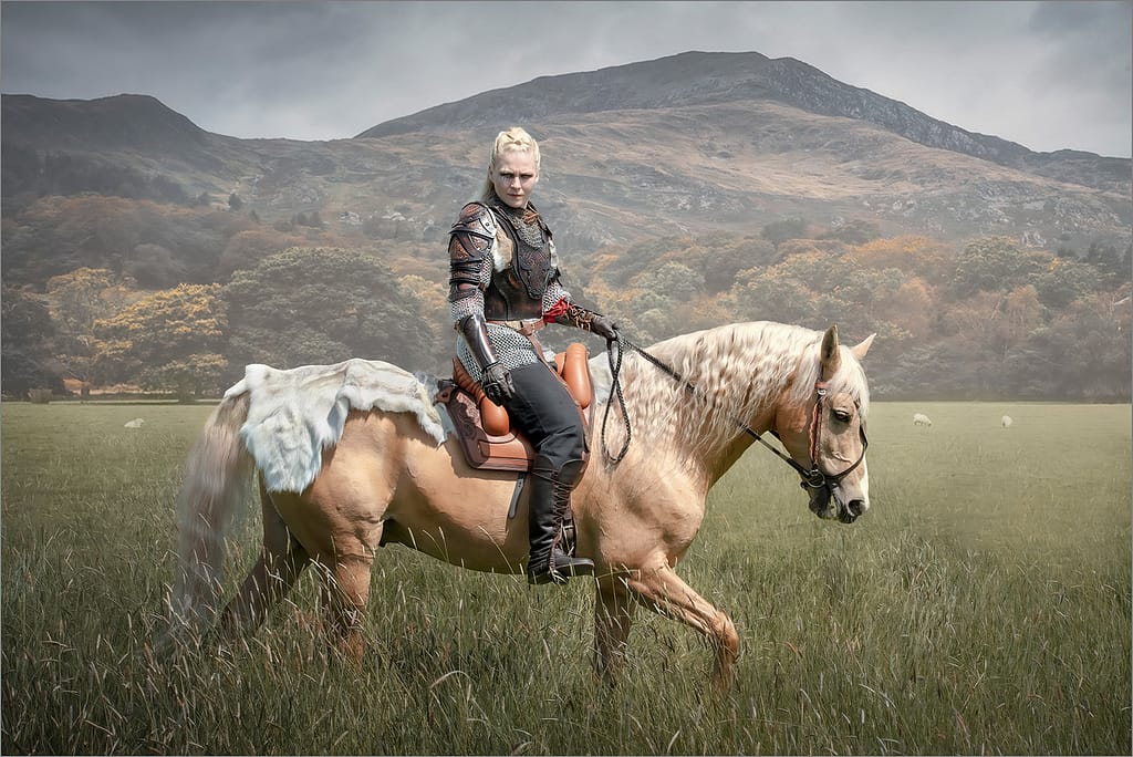 19 THE RIDER by Lee Odell