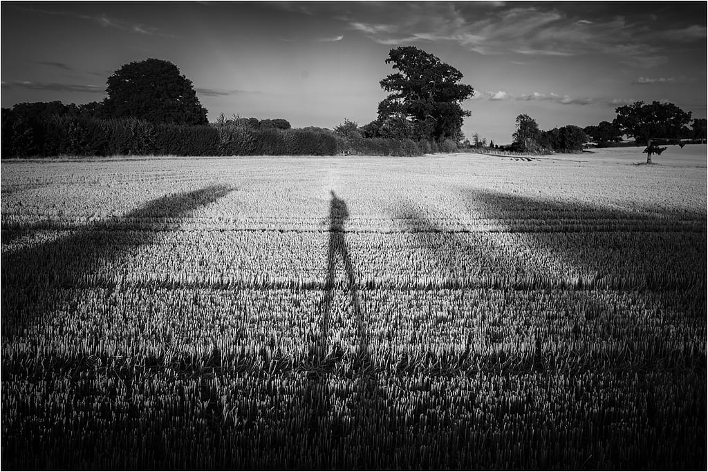 19 SUNSET SELFIE by Lee Odell