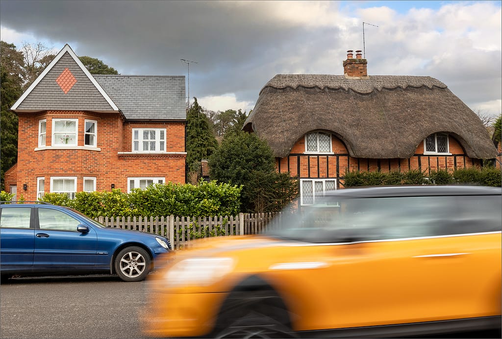 19 TILES V THATCH by David Knapp