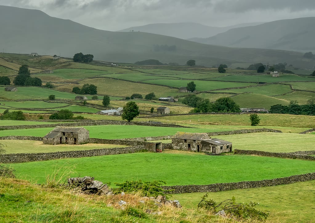 19 A PATCHWORK OF FIELDS by Jerry Francis