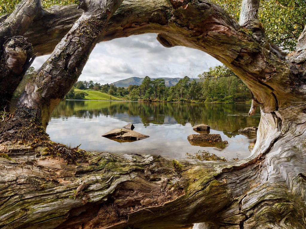 17 TARN HOWS by John Paul Thompson