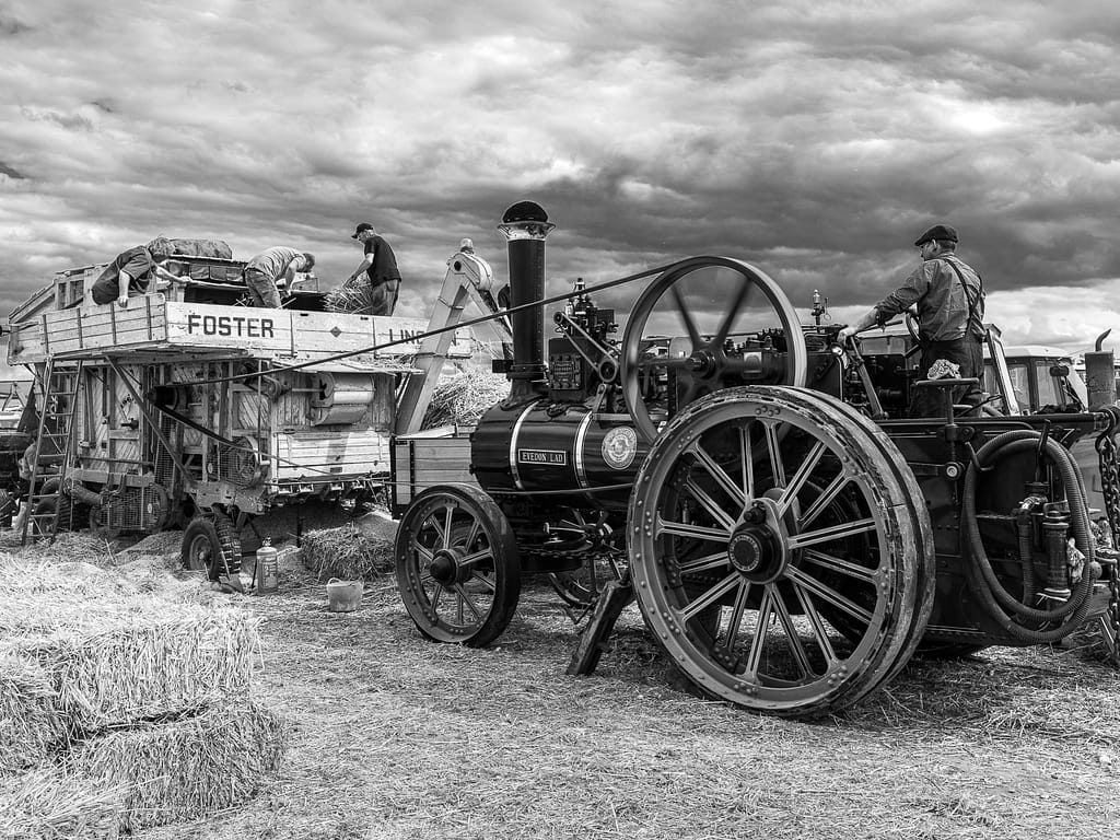 18 THRESHING by Peter Rees