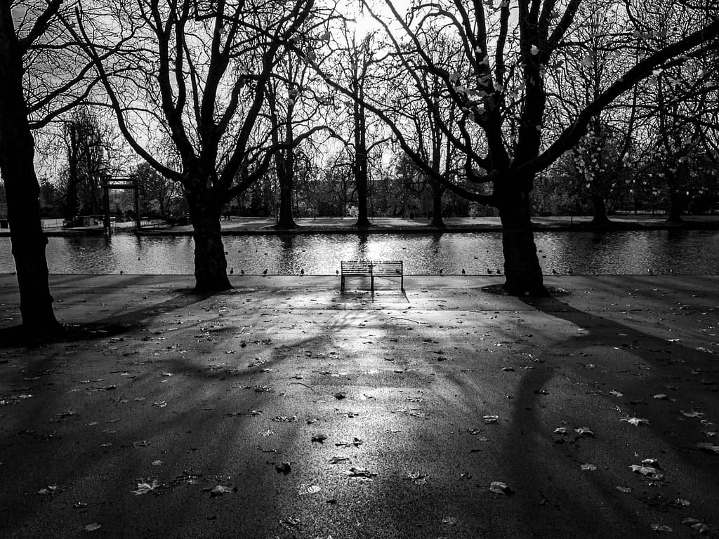 19 WINTERY EMBANKMENT by Phil Nichols