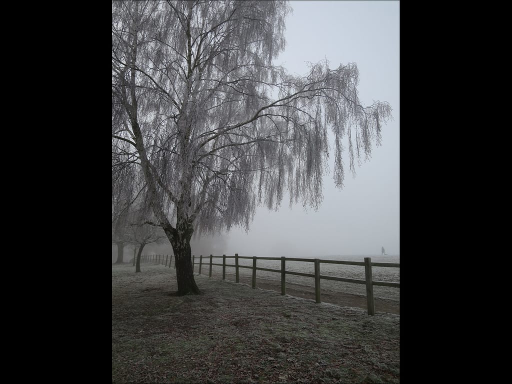 18 OUT IN THE COLD by Catherine Elliott