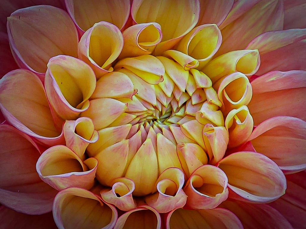 20 NEW DAY by Ian Gutteridge