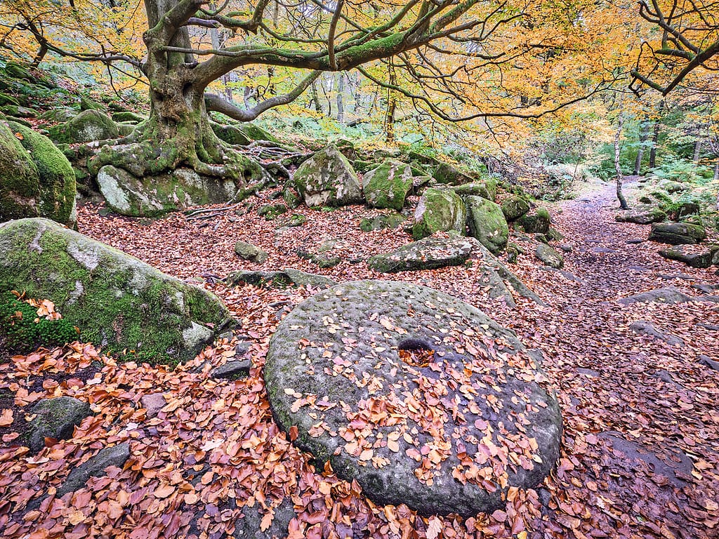 18 OLD MILL STONE, PADLEY GORGE by Richard Burn