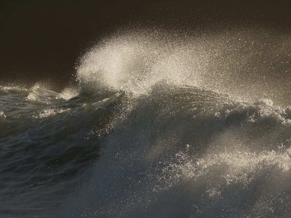 19 THE SEA by Catherine Elliott