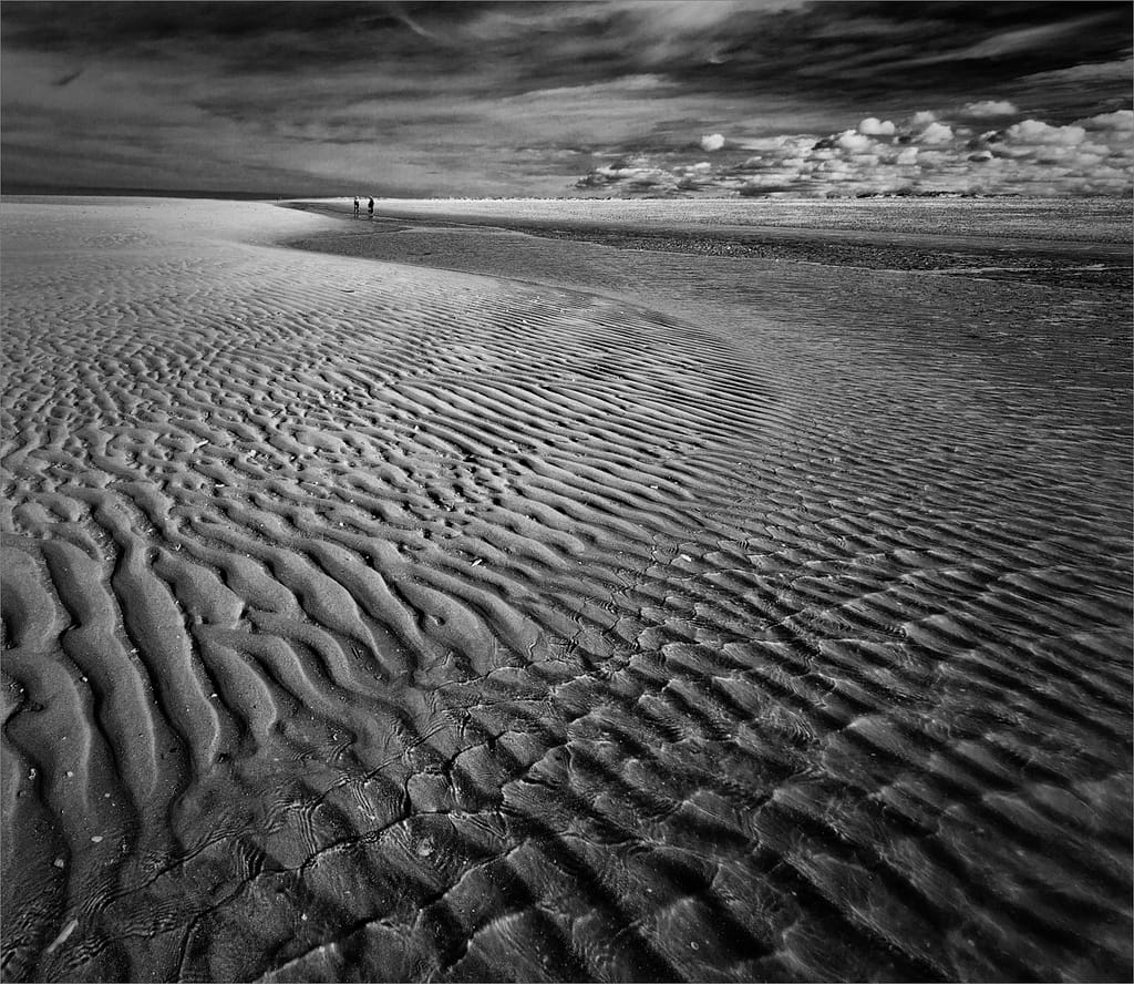 19 CHASING THE TIDE by Roger Green