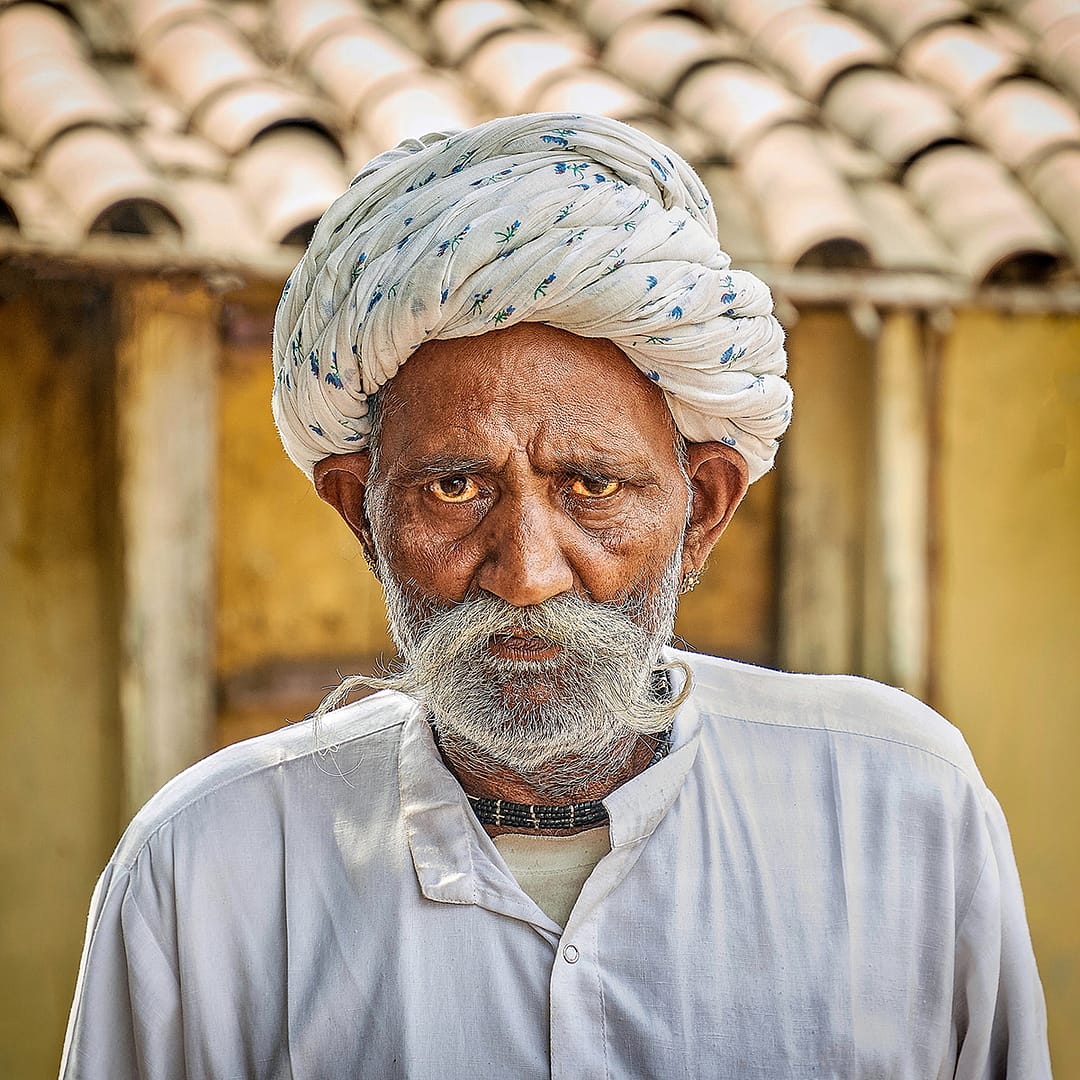 Highly Commended THE STARE by Richard Burn