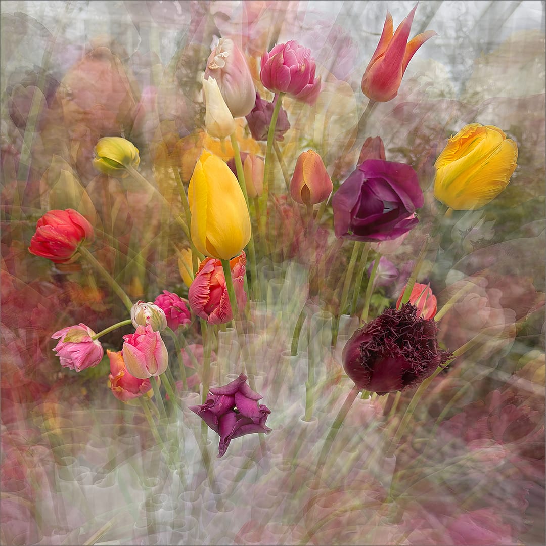 18 GHOST BLOOMS by Paul Wilson