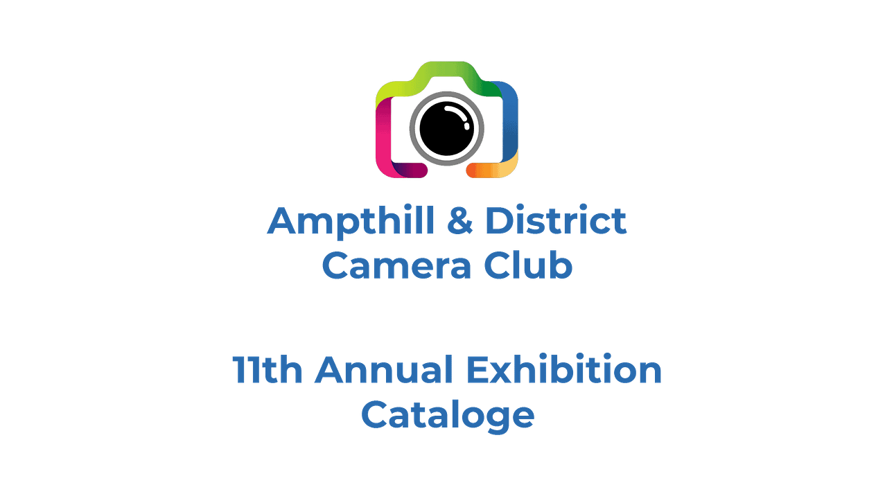 11th Exhibition