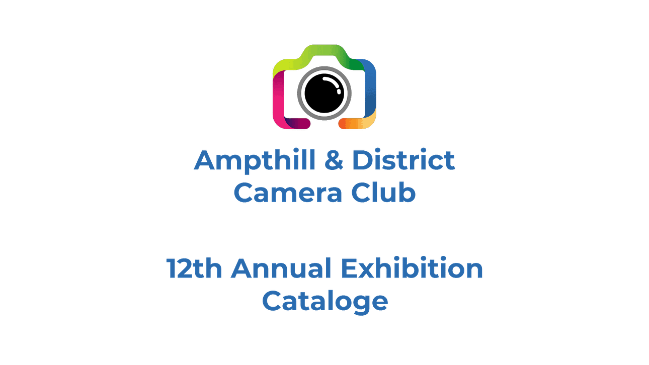 12th Exhibition
