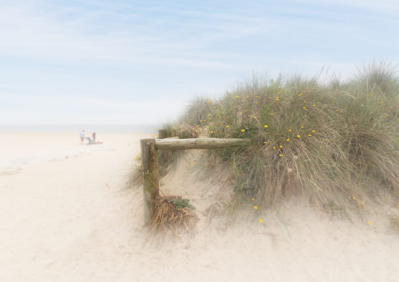 Best Landscape Colour Print DUNES AND DAYTRIPPERS by Roger Green