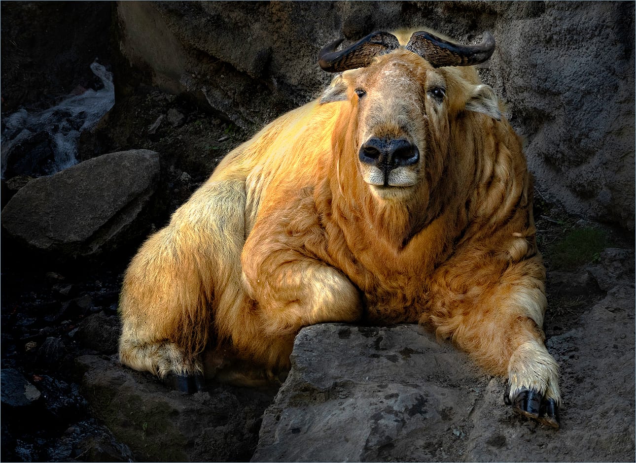 Commended TAKIN IT EASY by Paul Wilson