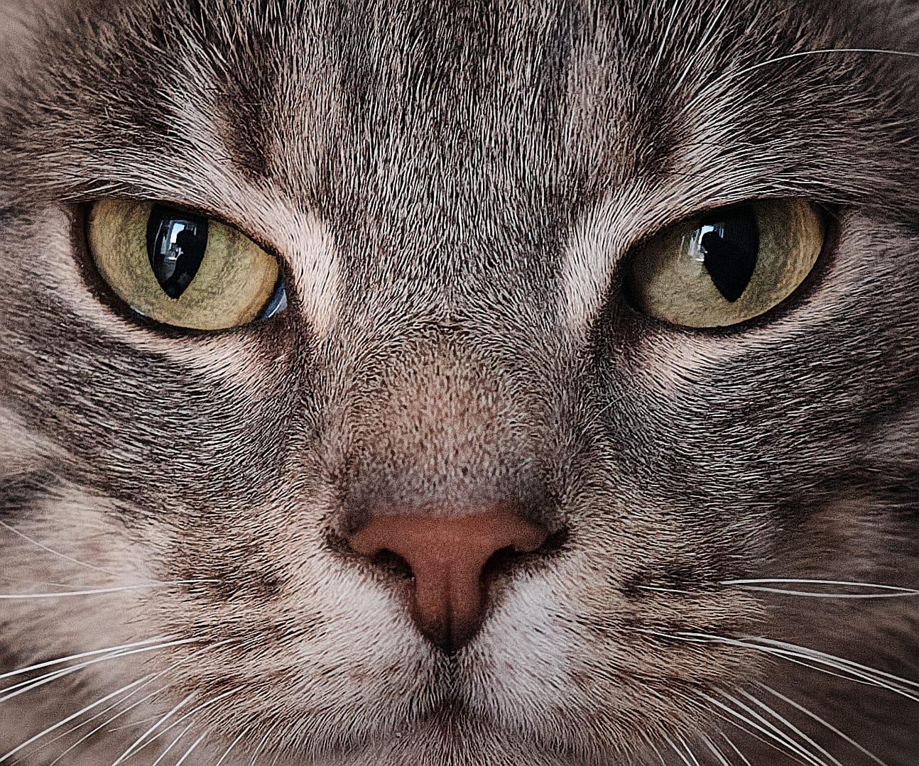 20 ONE EYE BOTH ALIKE by Bob Pledger