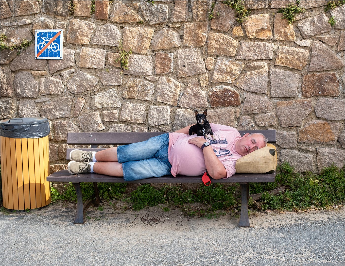 Commended GUARD DOG by David Knapp