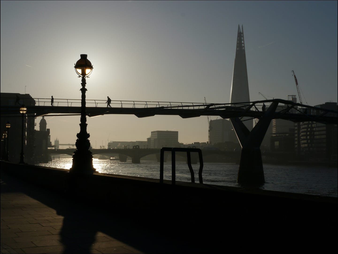 20 MORNING LIGHT by Catherine Elliott