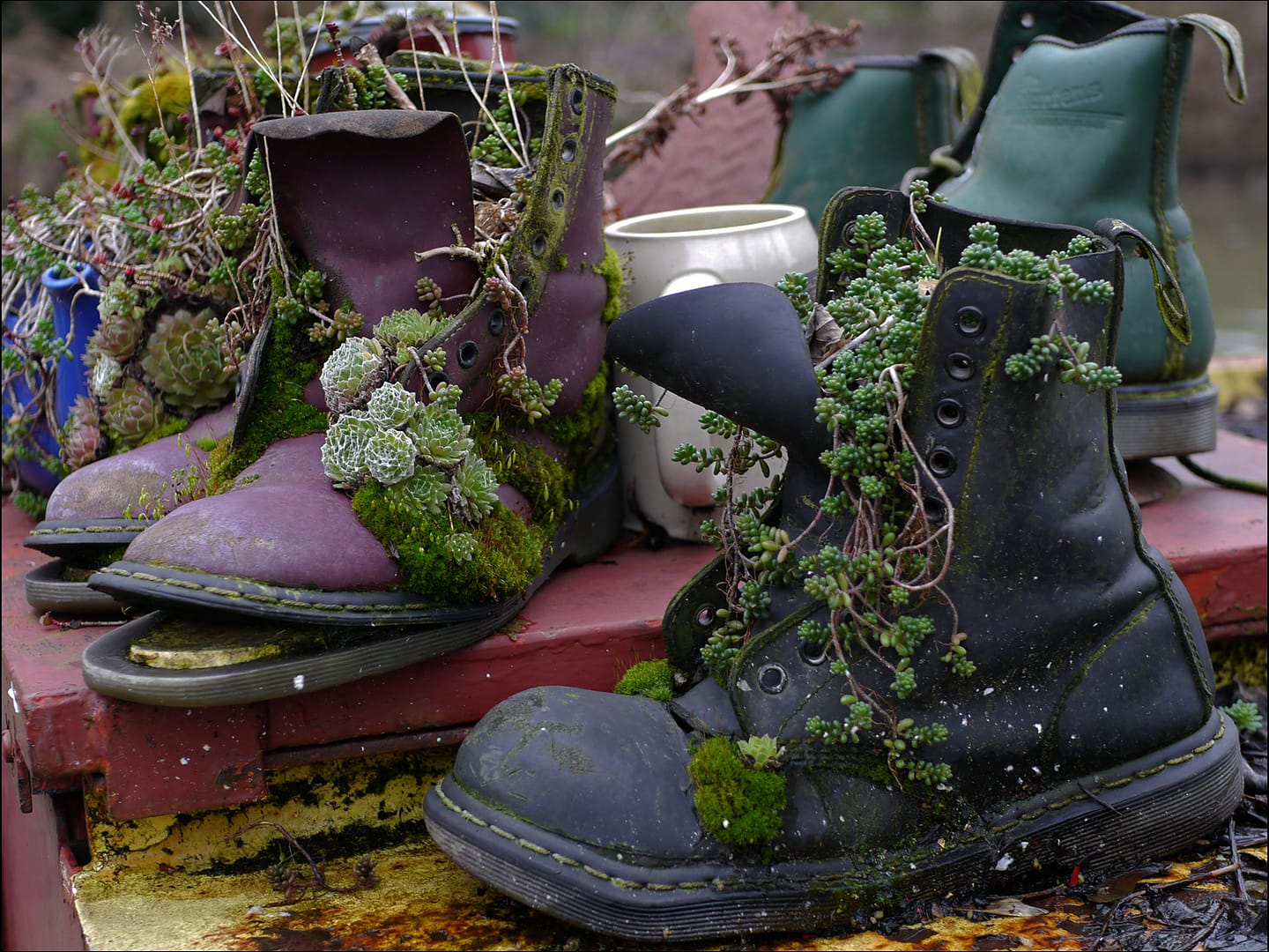 20 OLD BOOTS by Catherine Elliott