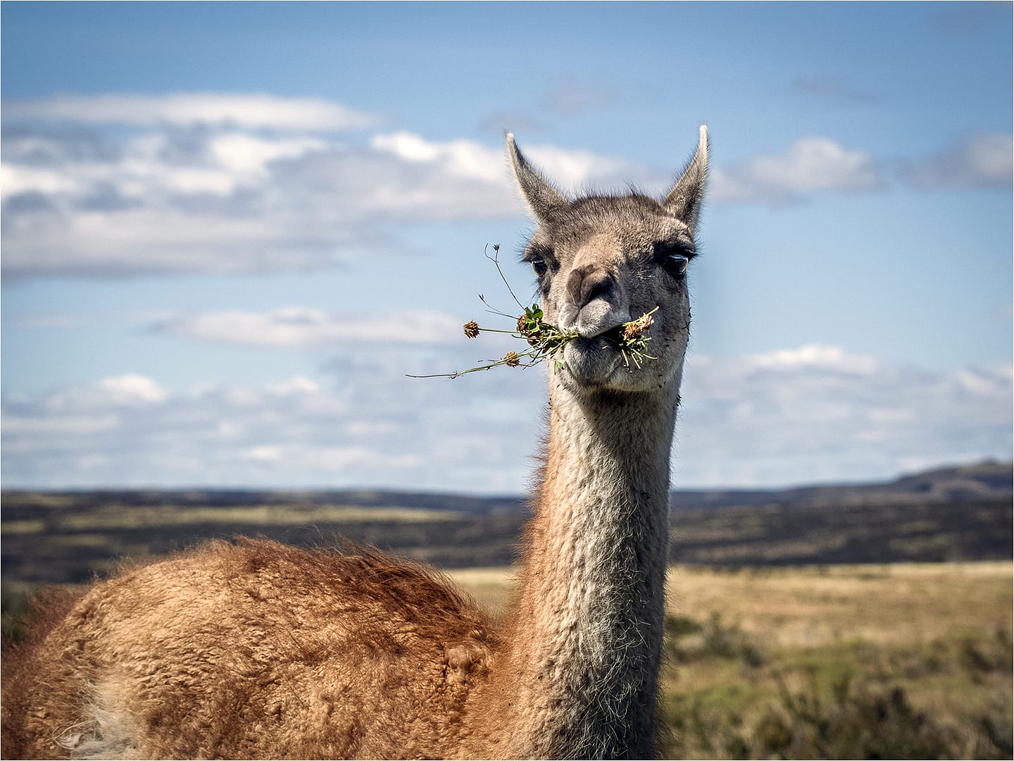 18 LAST MOUTHFUL by Richard Burn