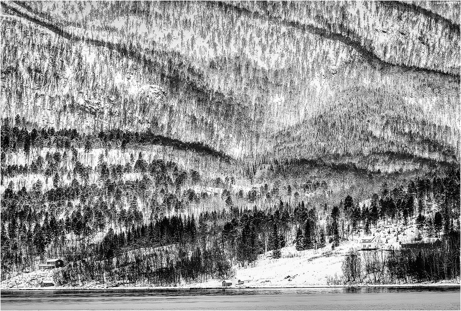 20 EARLY SNOWFALL by Richard Burn
