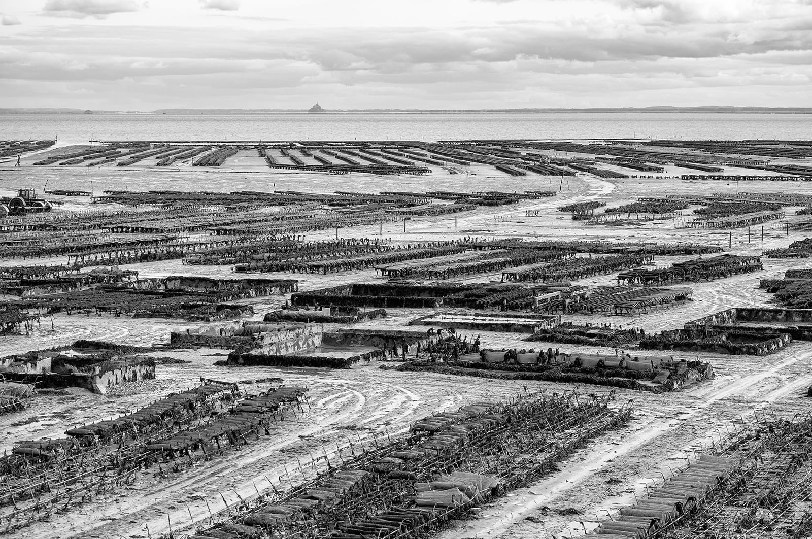 Commended OYSTER BEDS CONCALE by David Knapp