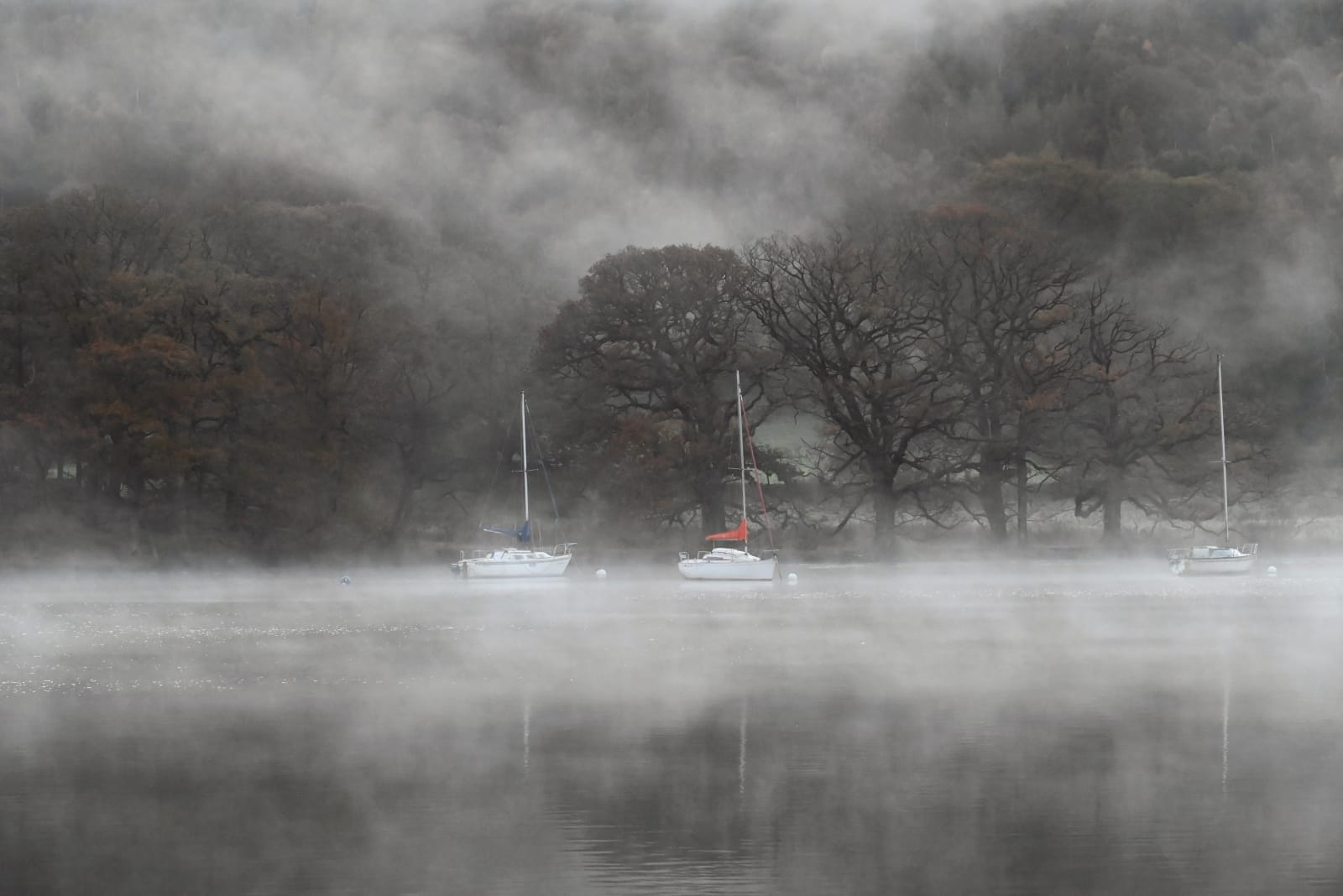 19 MISTY DAWN by Roni Ames