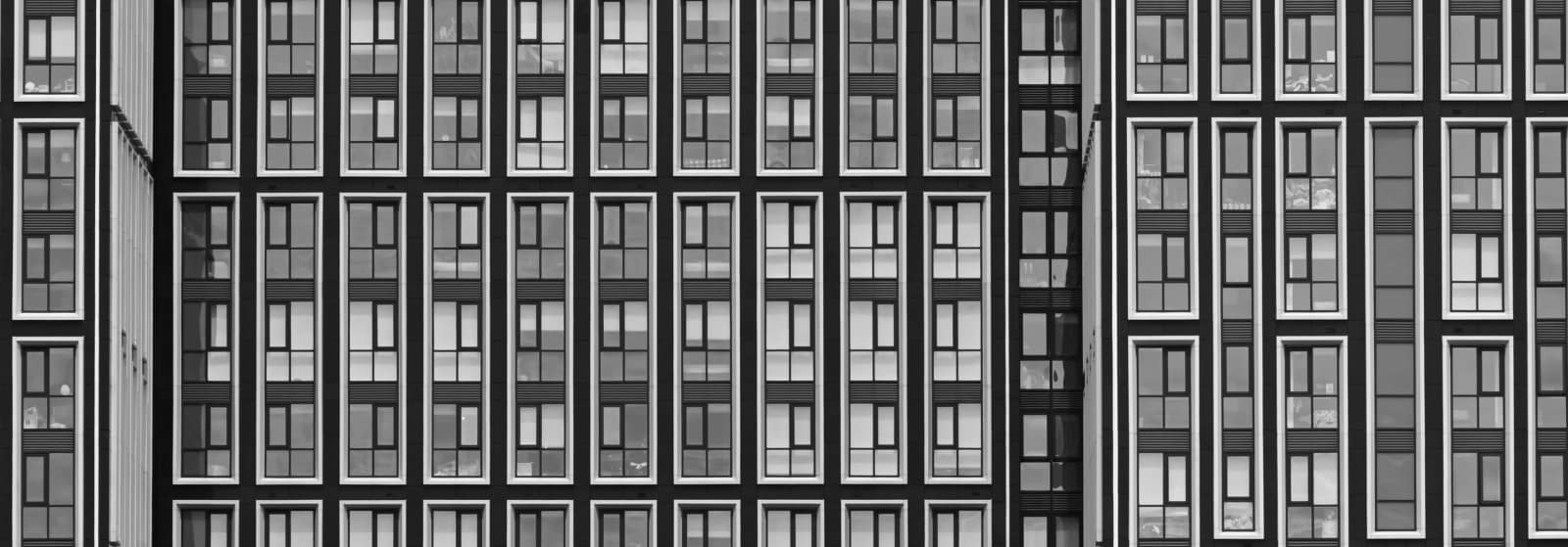 18 WINDOWS 25 by Roni Ames