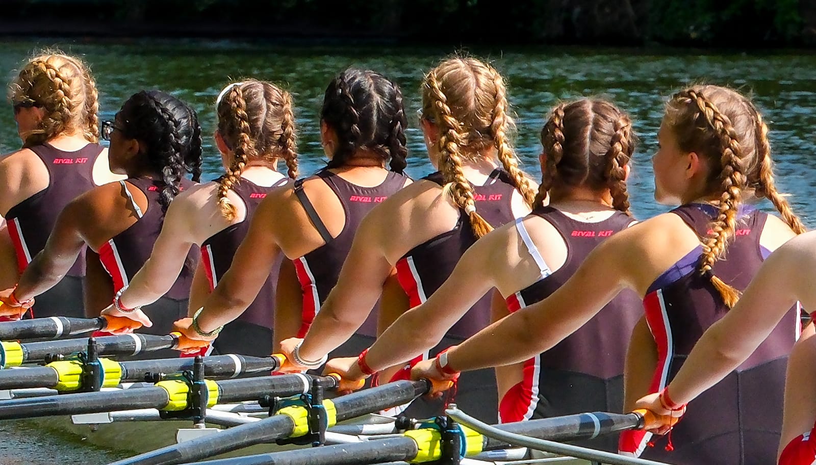 18 PLAITED IN A ROW by Paul Tapping