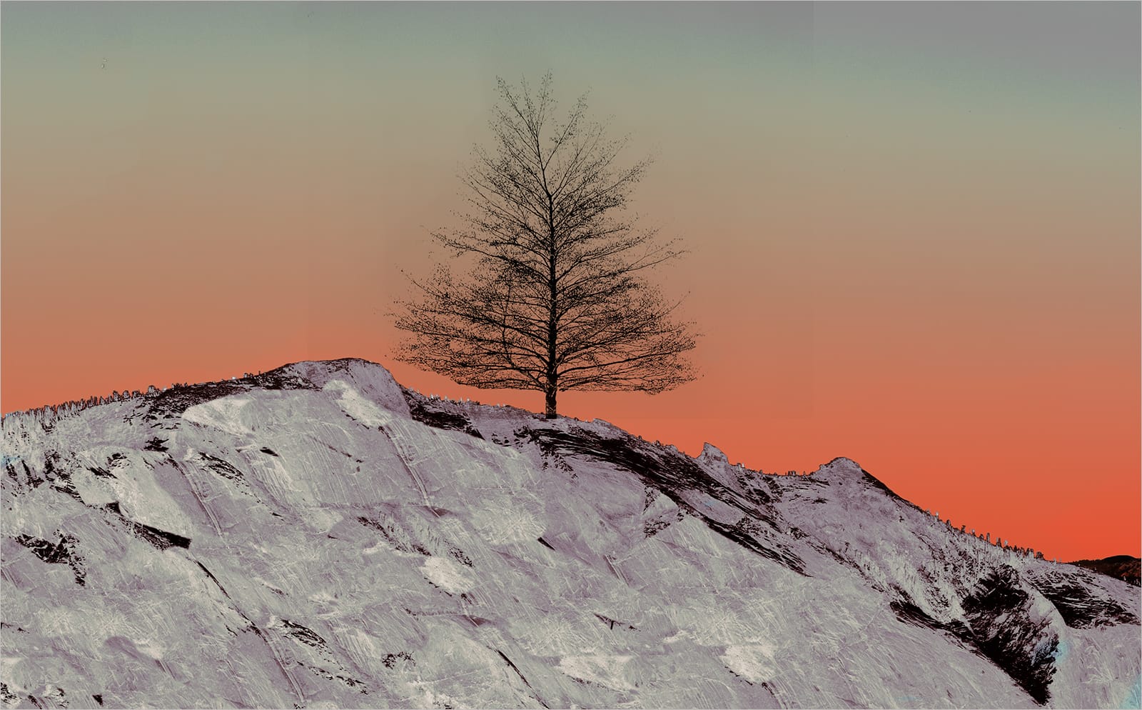 19 ISOLATED by Paul Wilson