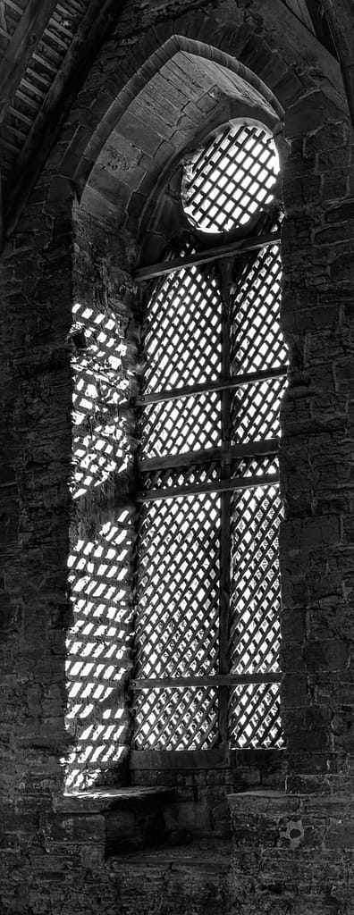 18 ENLIGHTENING by Peter Rees