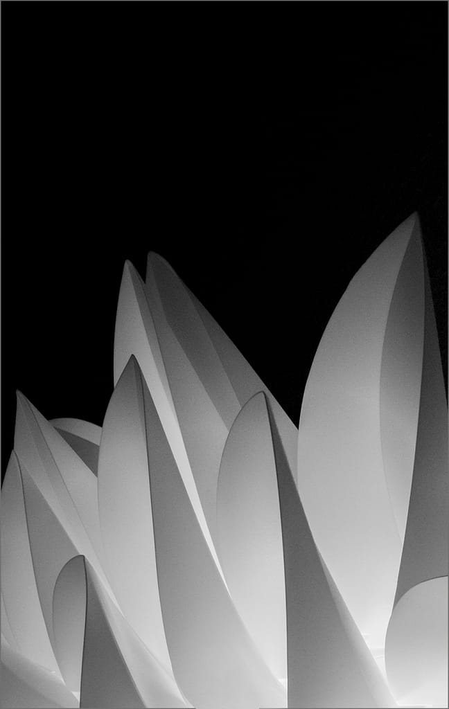 18 TONAL PETALS by Nicola Morcombe