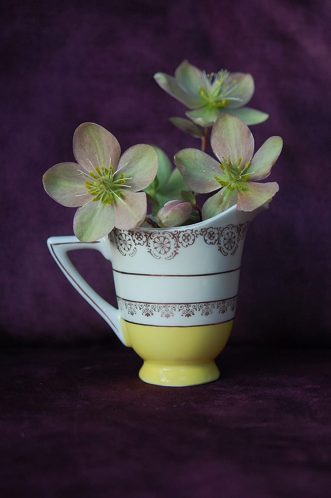 21 OLD JUG by Helen Castle