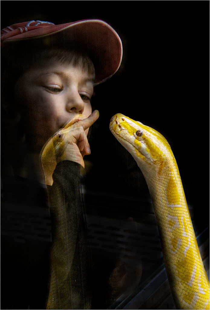 19 THE CHARMER by Paul Wilson