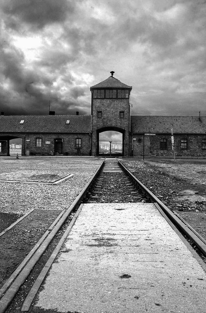 21 THE END OF THE LINE by Phil Nichols