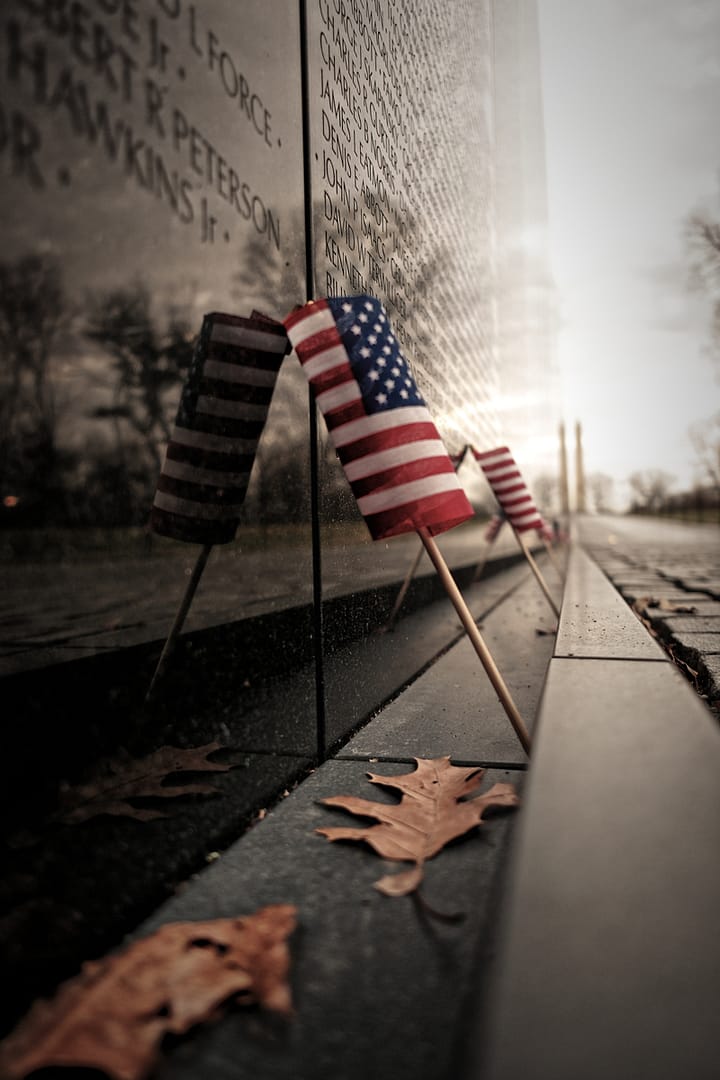 Highly Commended AMERICAN PATRIOTISM by Ben Peet