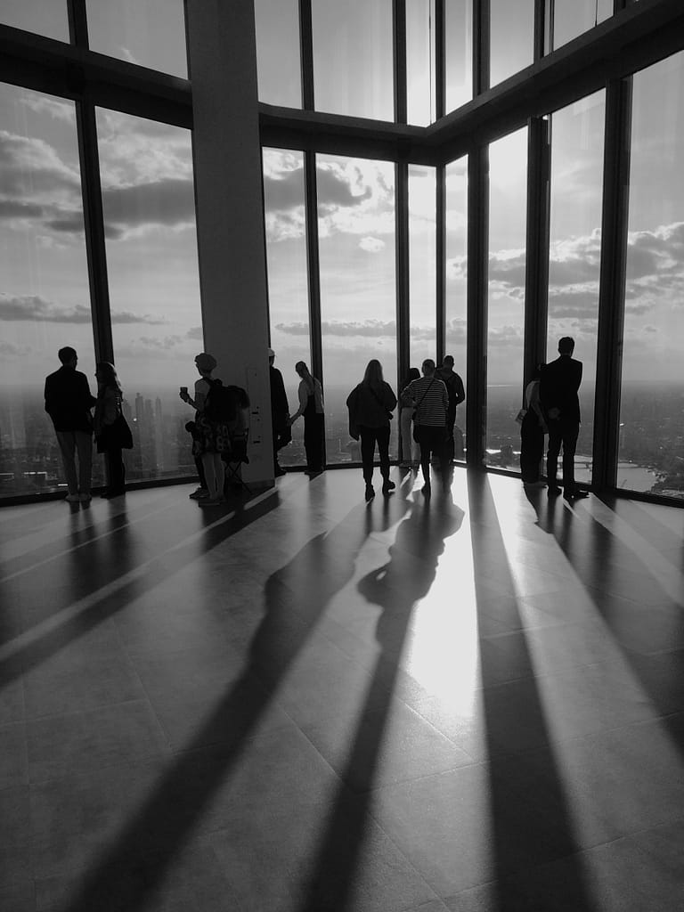 18 ENJOYING THE VIEW by Catherine Elliott