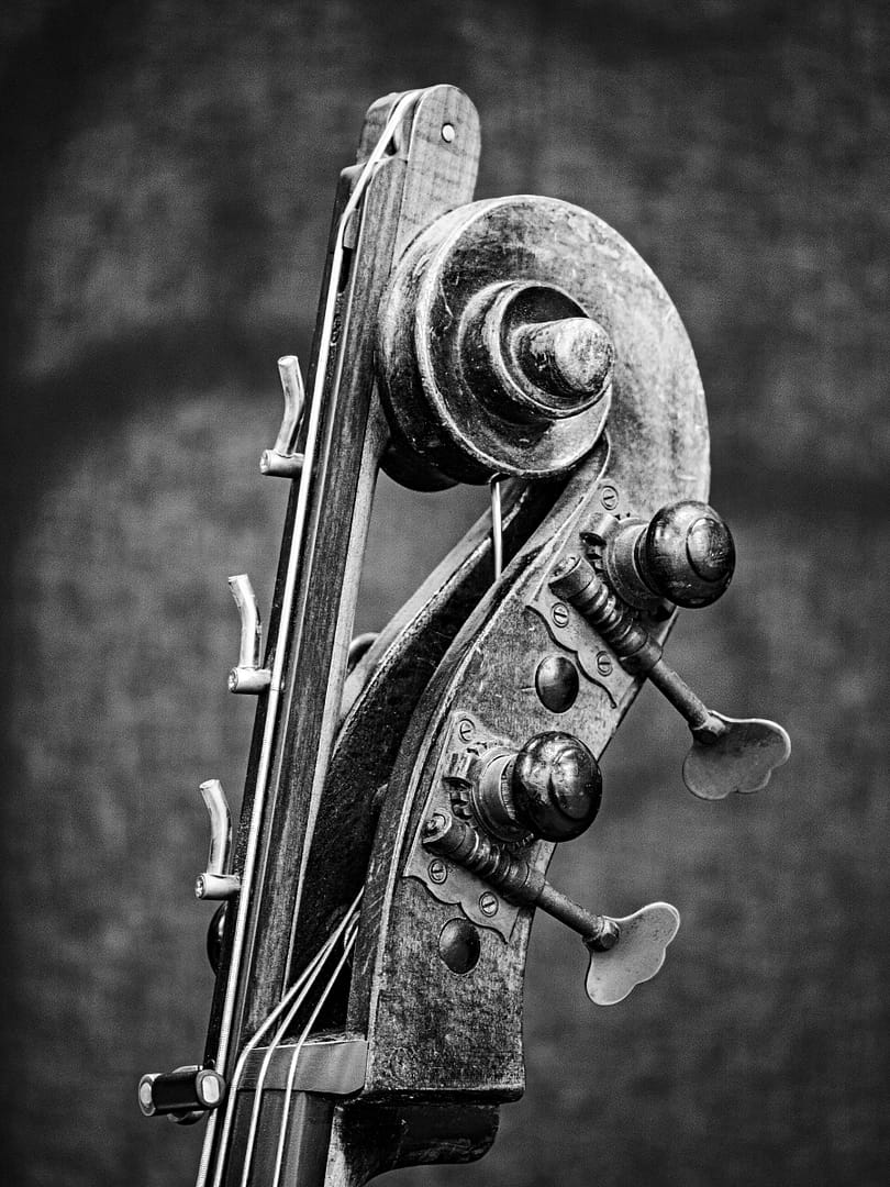 18 UNUSUAL DOUBLE BASS HEADSTOCK by John Paul Thompson