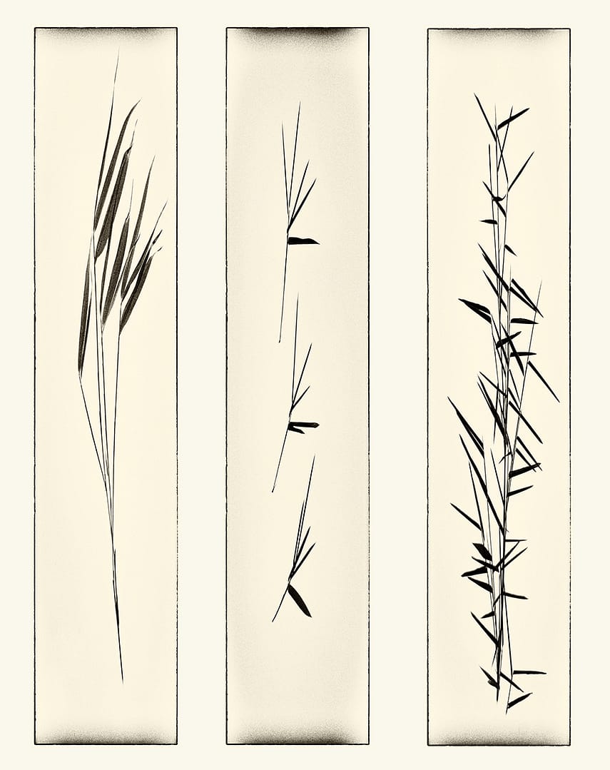 21 ZEN WALL ART by Belinda Wilson